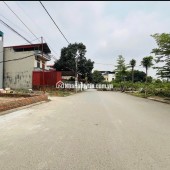 Bán siêu phẩm hoa hậu đầu tư sinh lời tại Nguyên Khê